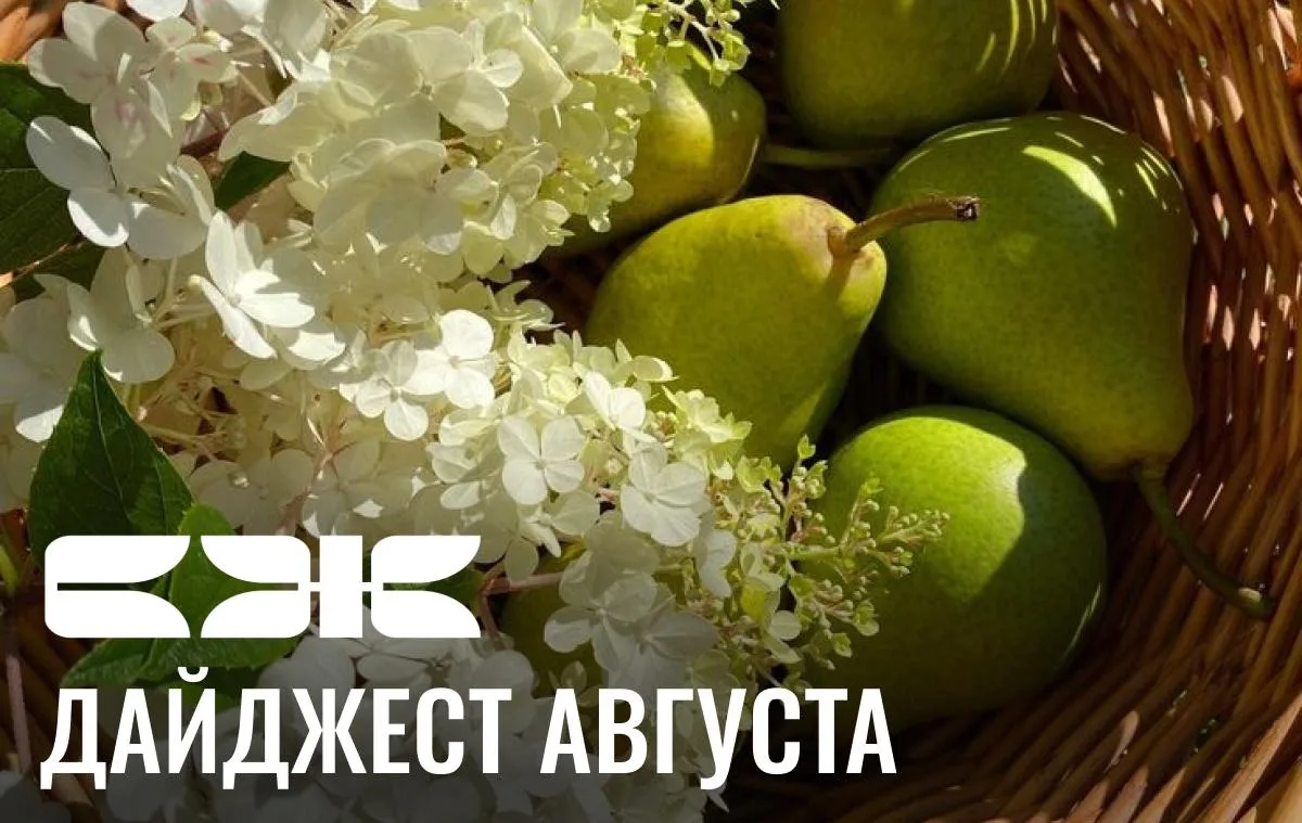 Лето пролетело — а вместе с ним последняя надежда пойти на спорт, начать бегать и сесть...
