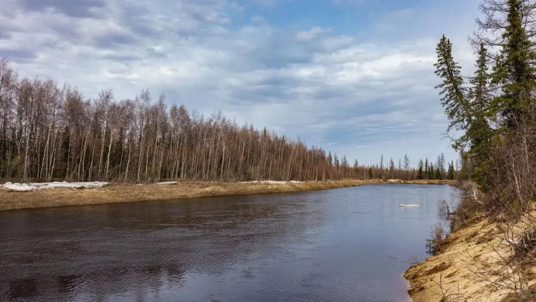 💧 Сложный участок: ледоход образовал затор у Тарко-Сале  В Тарко-Сале обнаружили затор на реке Пяку-