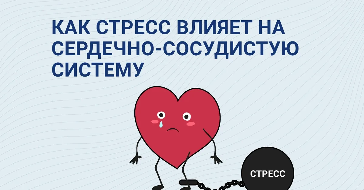 Стресс влияет на сердечно-сосудистую систему двумя путями: напрямую через физиологическ...