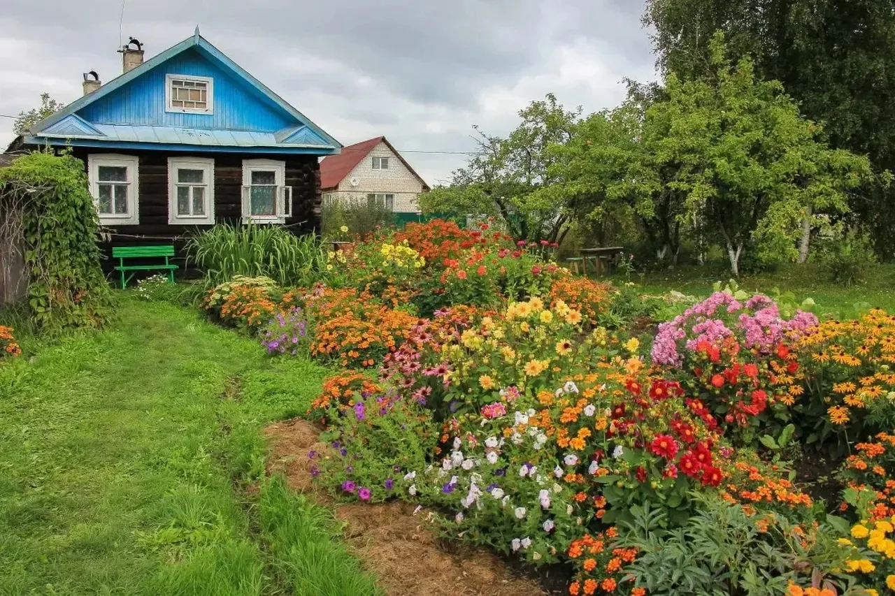 «Гари в цвету: Битва за красоту!» 🌸