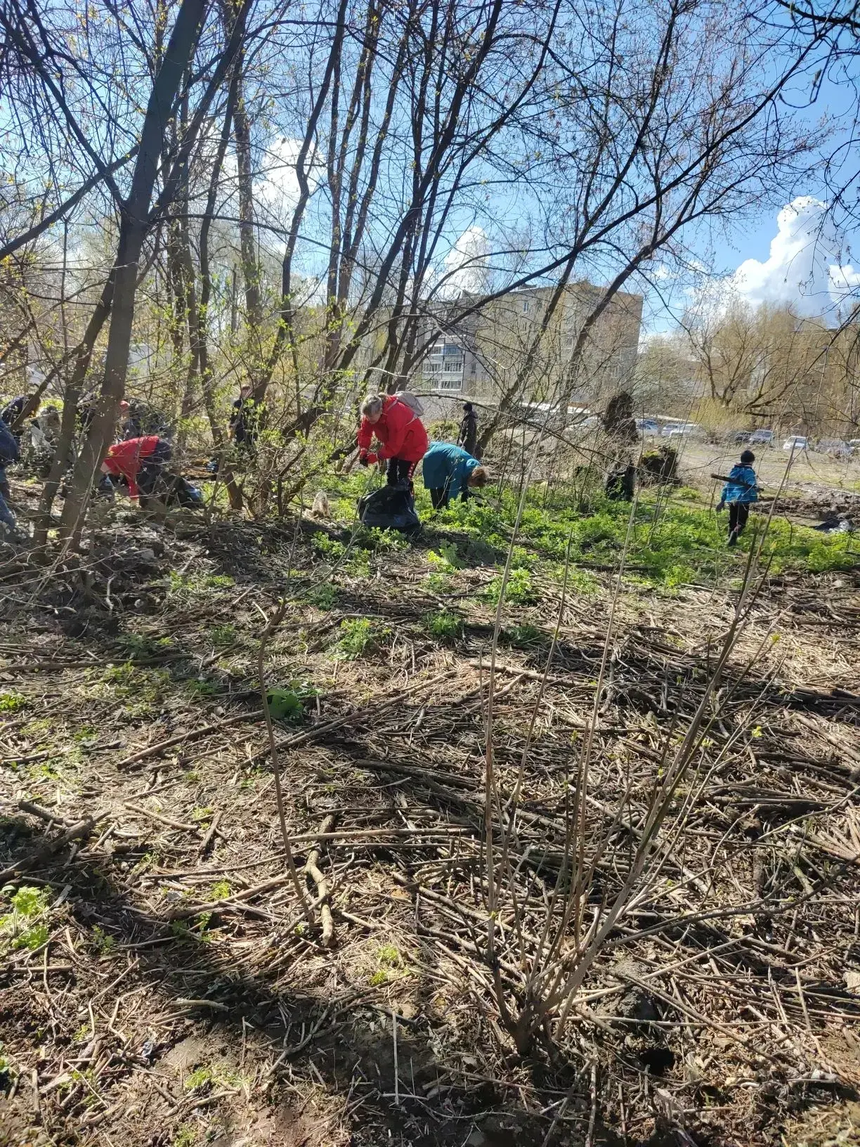 🌱🌱 Традиционные весенние субботники — это не просто уборка, а символ сплочённости и з...