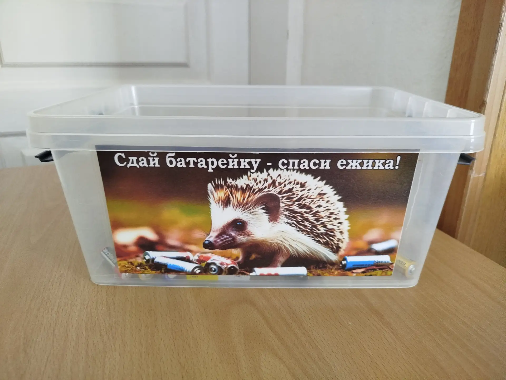 Друзья! 🦔💚