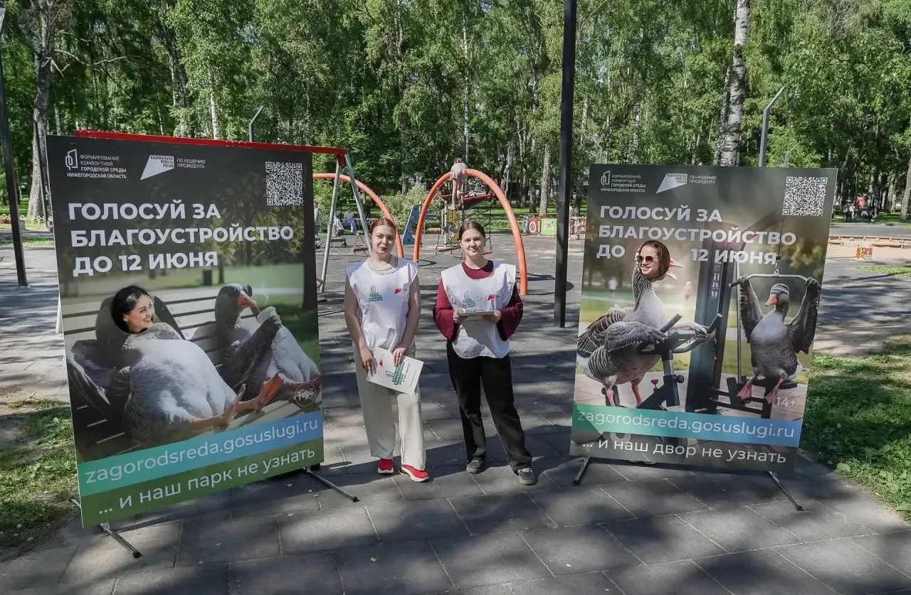 ❗️УСПЕЙ ПРОГОЛОСОВАТЬ ЗА ОБЪЕКТЫ БЛАГОУСТРОЙСТВА 
 
Сегодня в полночь завершится голосование за терр