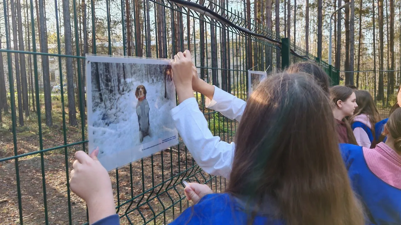 В Октябрьском районе открылась необычная фотовыставка 🐾