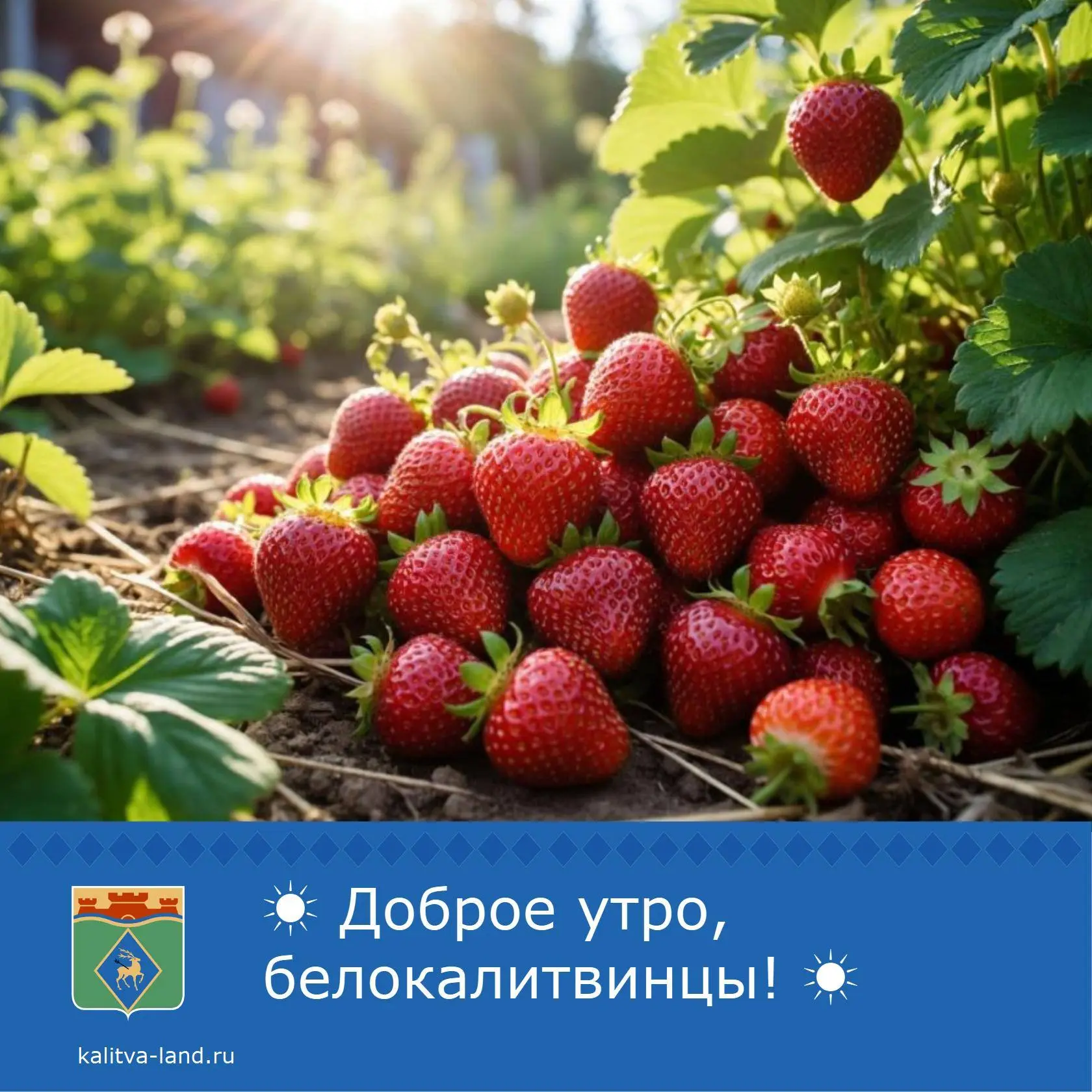 ☀ Доброе утро, белокалитвинцы!

💥 Плодотворной рабочей недели!

#Доброеутро #белокалитвинцы #Админи