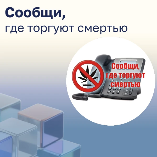 «Сообщи, где торгуют смертью» — антинаркотическая акция в Армавире