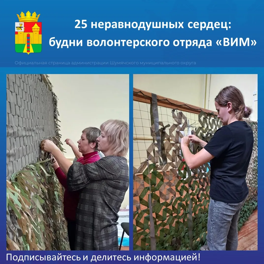 Вместе мы — сила! Волонтерский отряд «ВИМ».