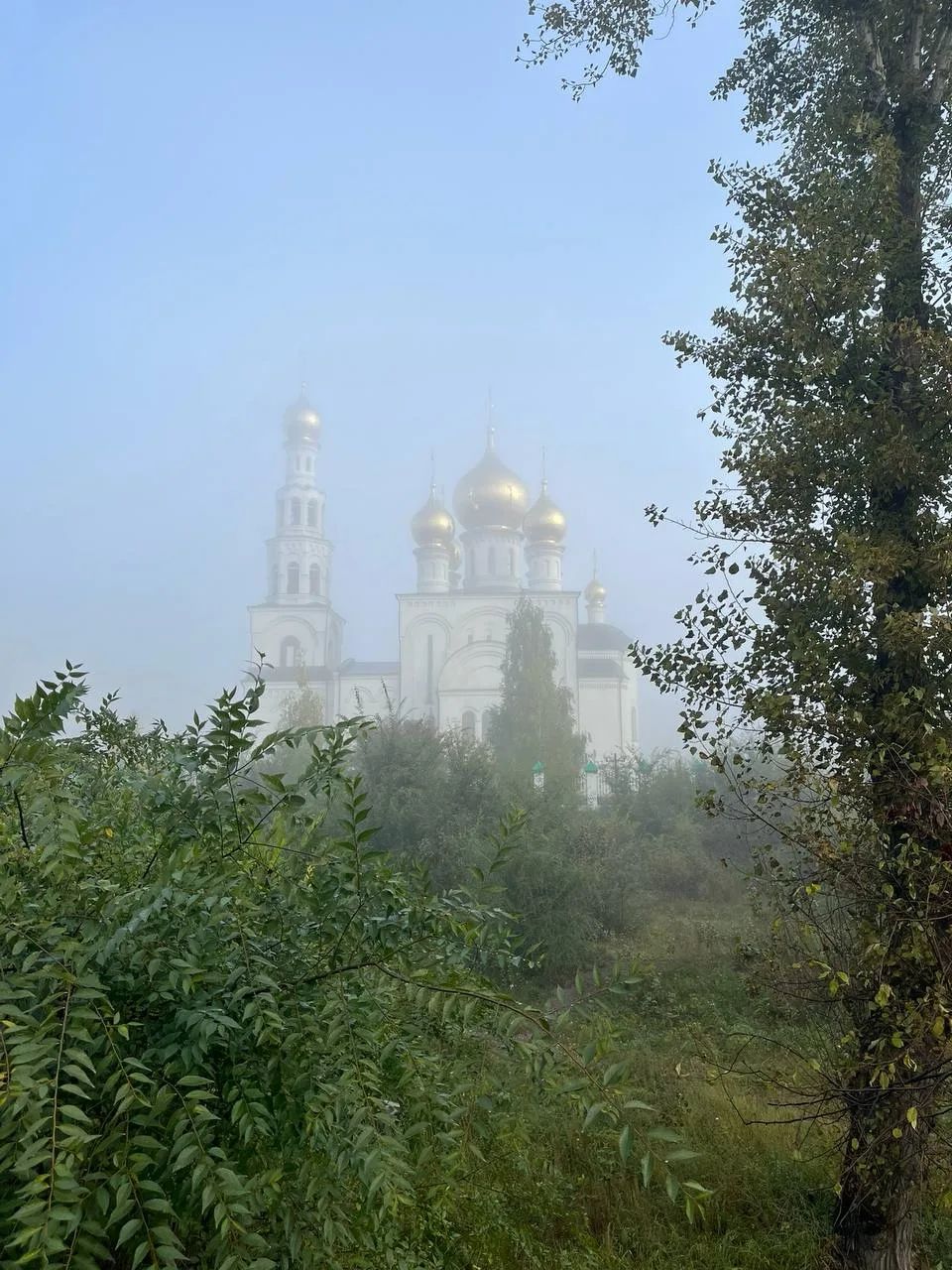 Туманные пейзажи😍