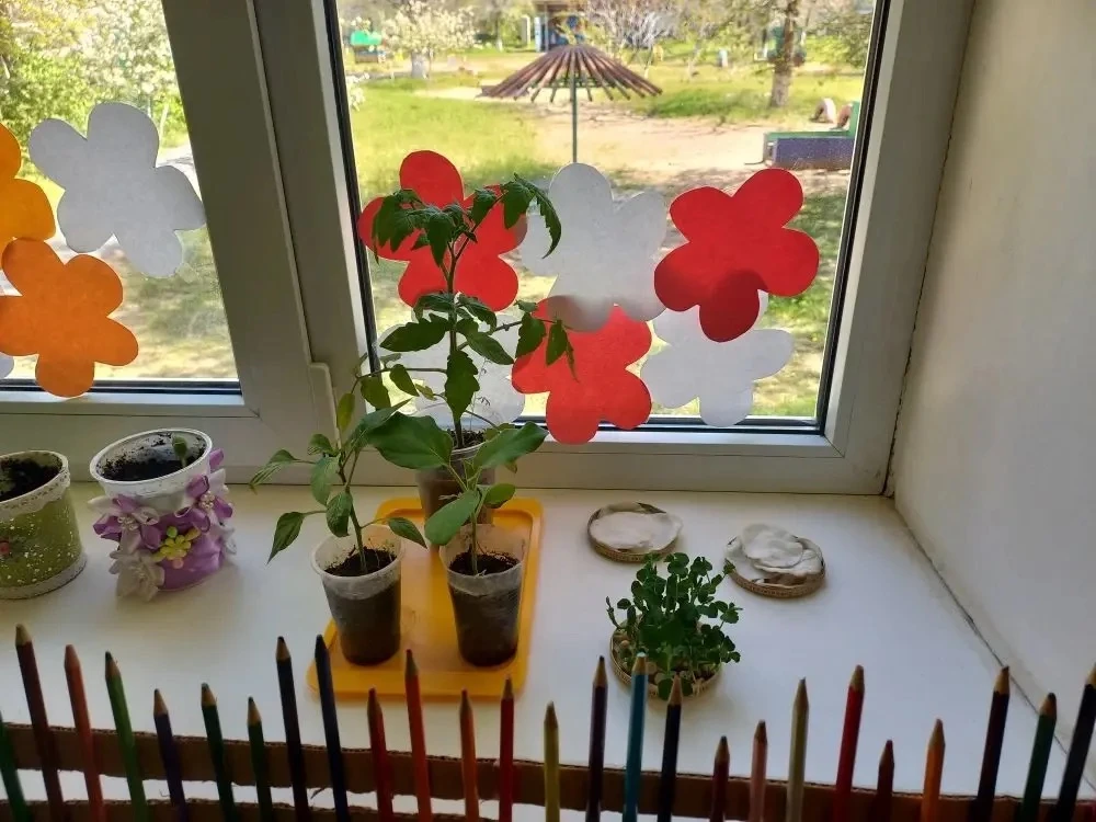 🌿 Акция «Выбираю чистый воздух»: мини‑сад на подоконнике — шаг к здоровой планете! 🌿