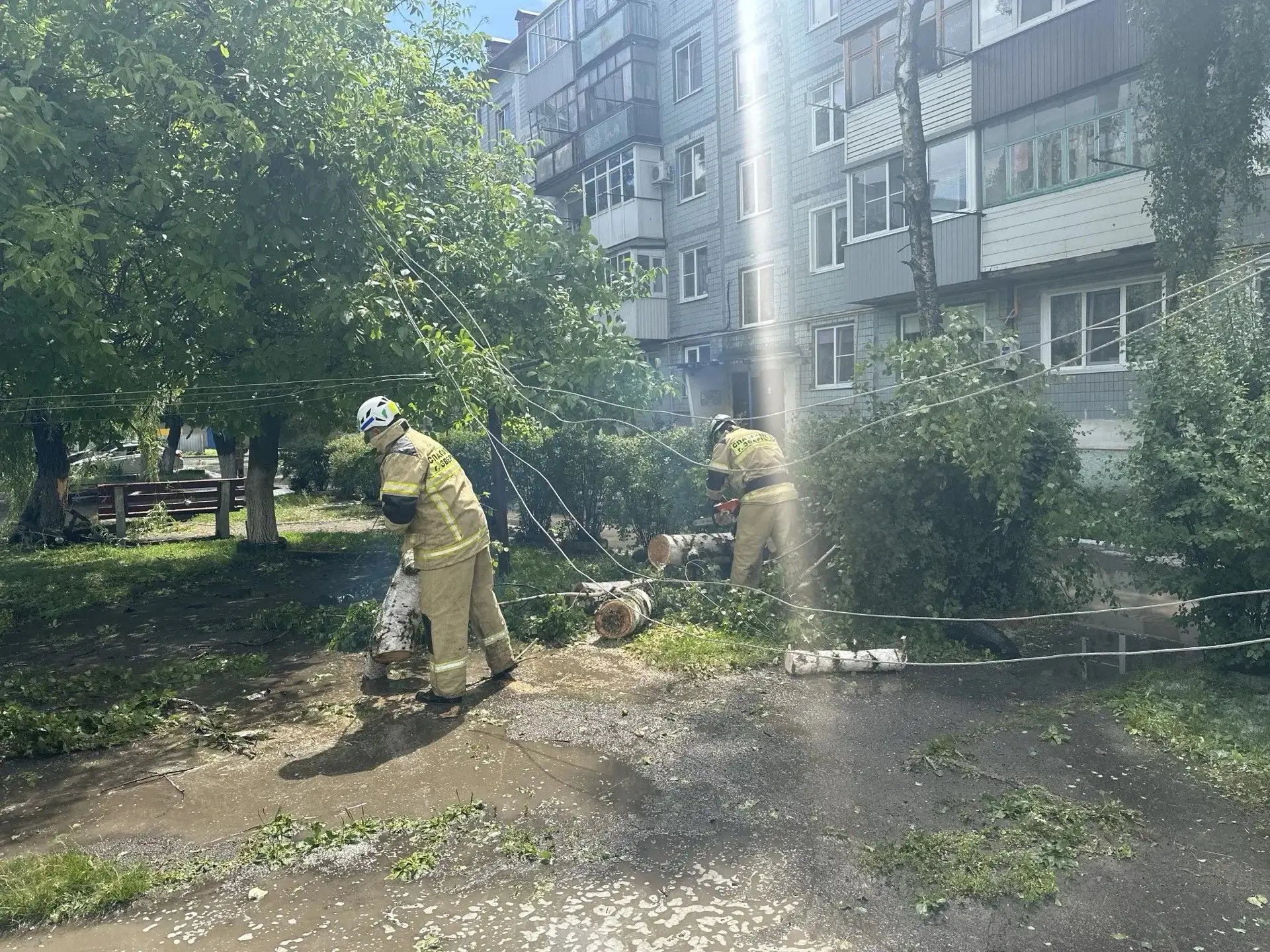 В связи с погодными условиями произошла авария по адресу: ул. Ивановская, 40, — обрушение опоры лини