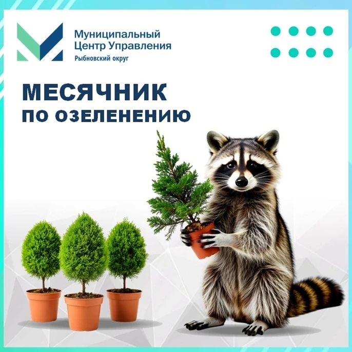 🌳 Октябрь — месячник по озеленению.