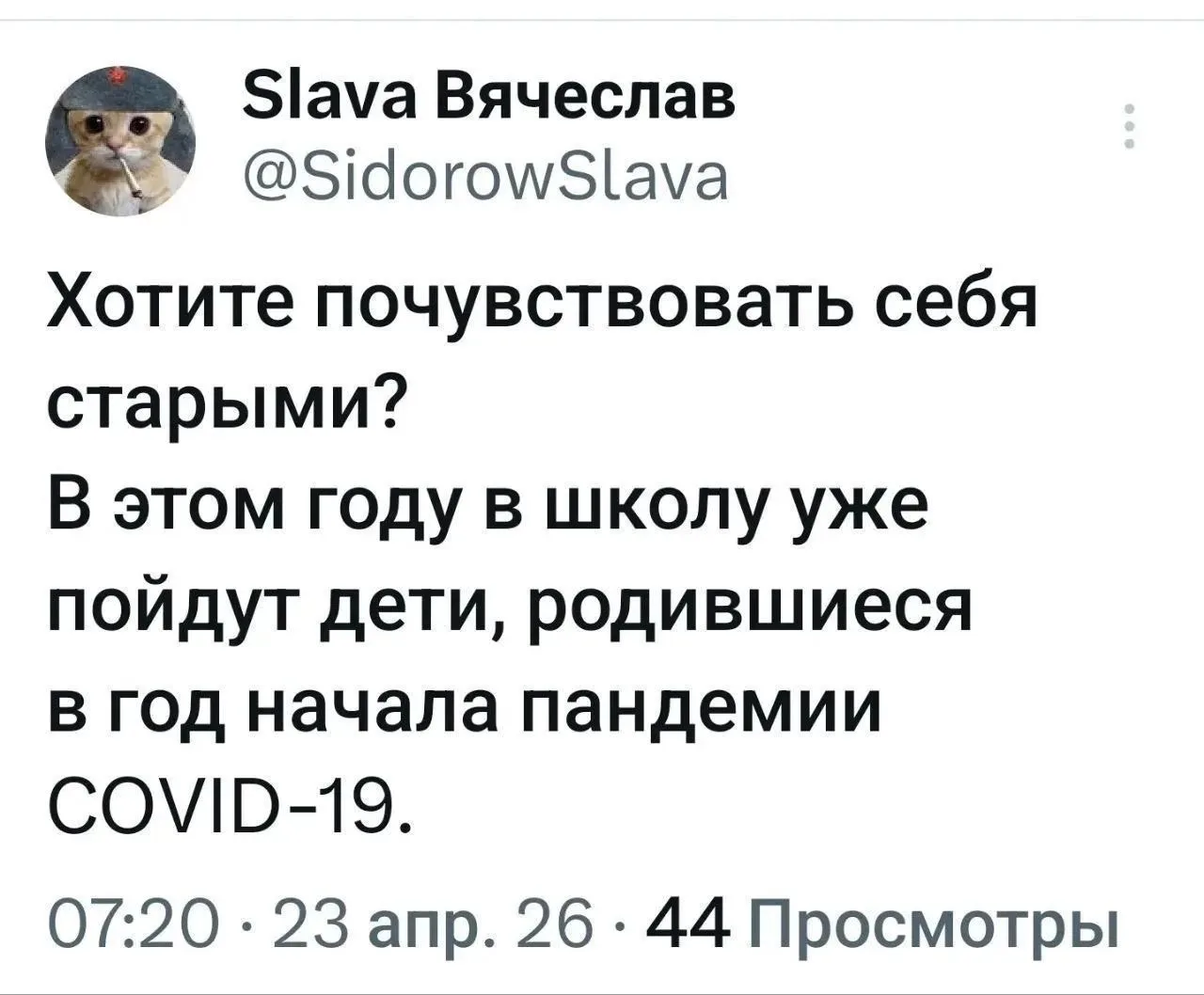 Мило/юмор/мем на ночь 🌙