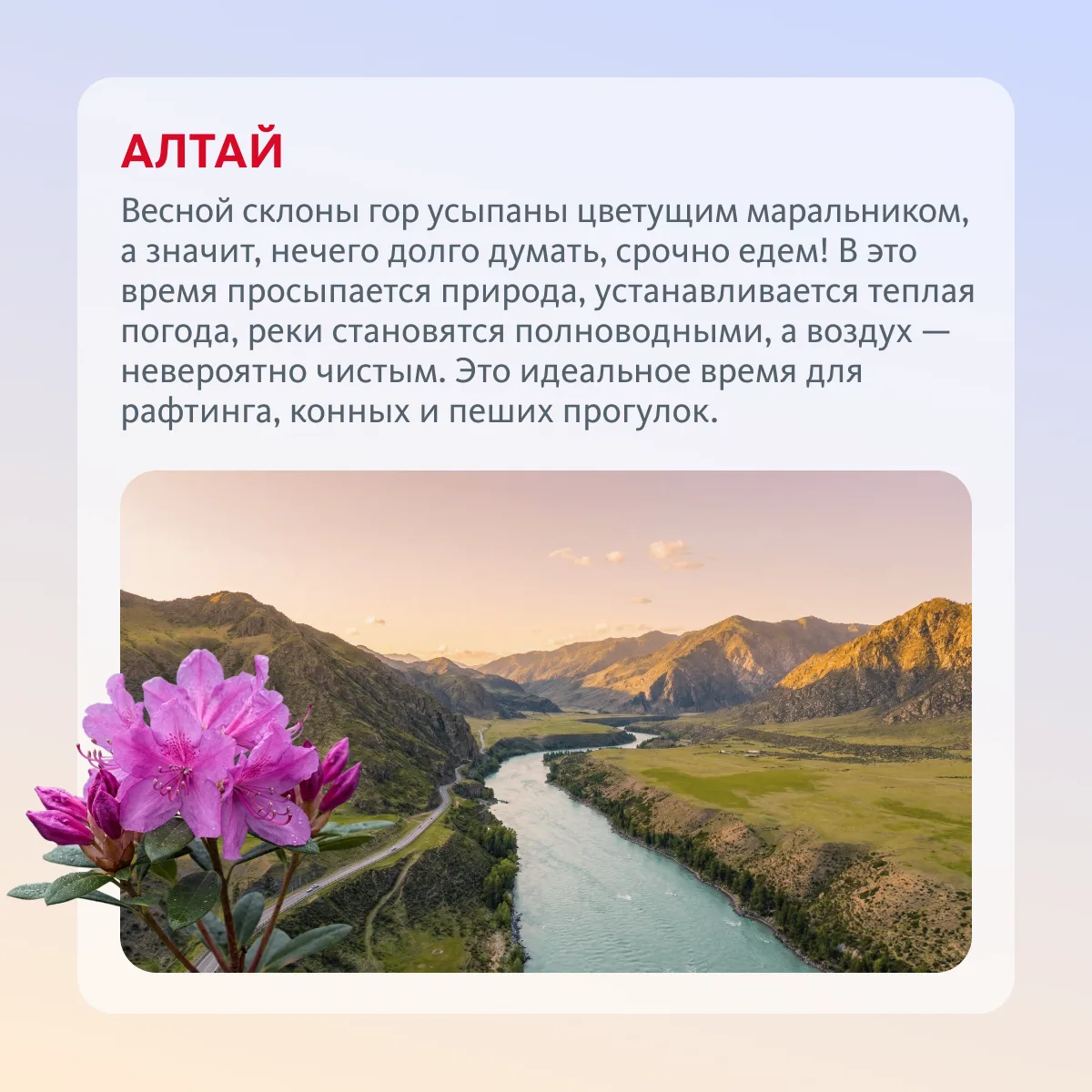 Куда отправиться на майские 👀💃  Собрали шесть направлений — от горных пейзажей Архыза до цветущего А