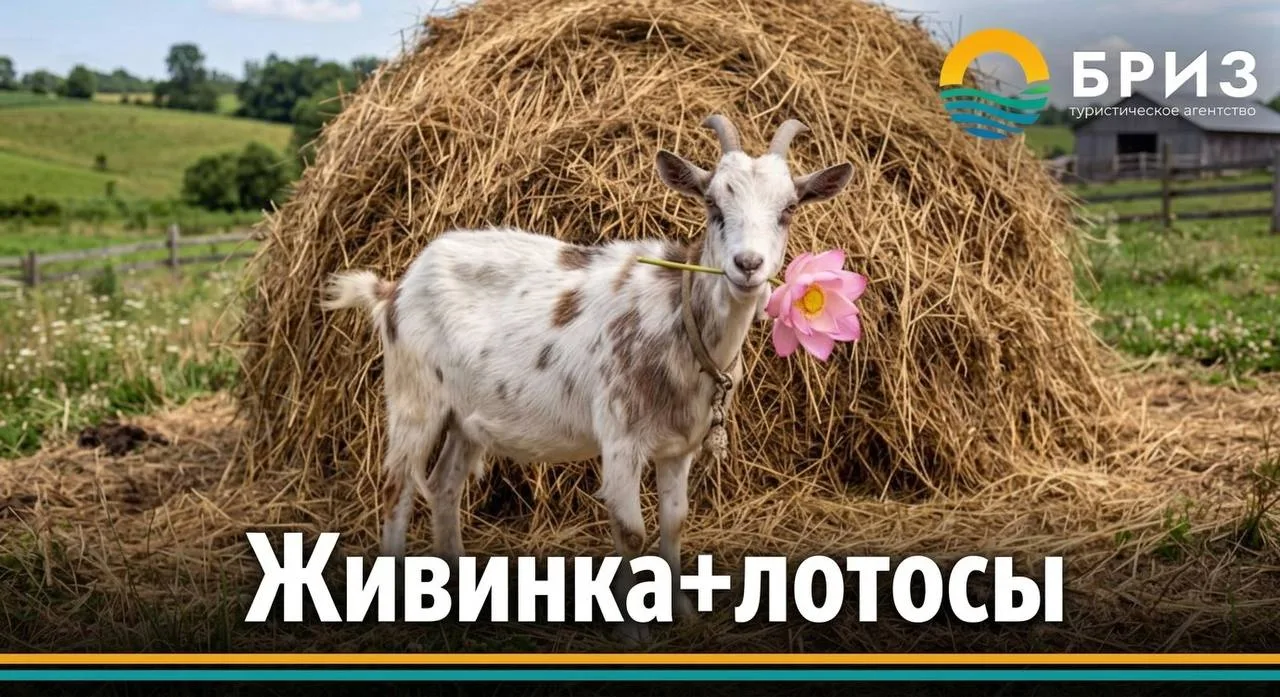 🌞 ВСЕГО ОДИН ДЕНЬ — И ВЫ В РУССКОЙ СКАЗКЕ!