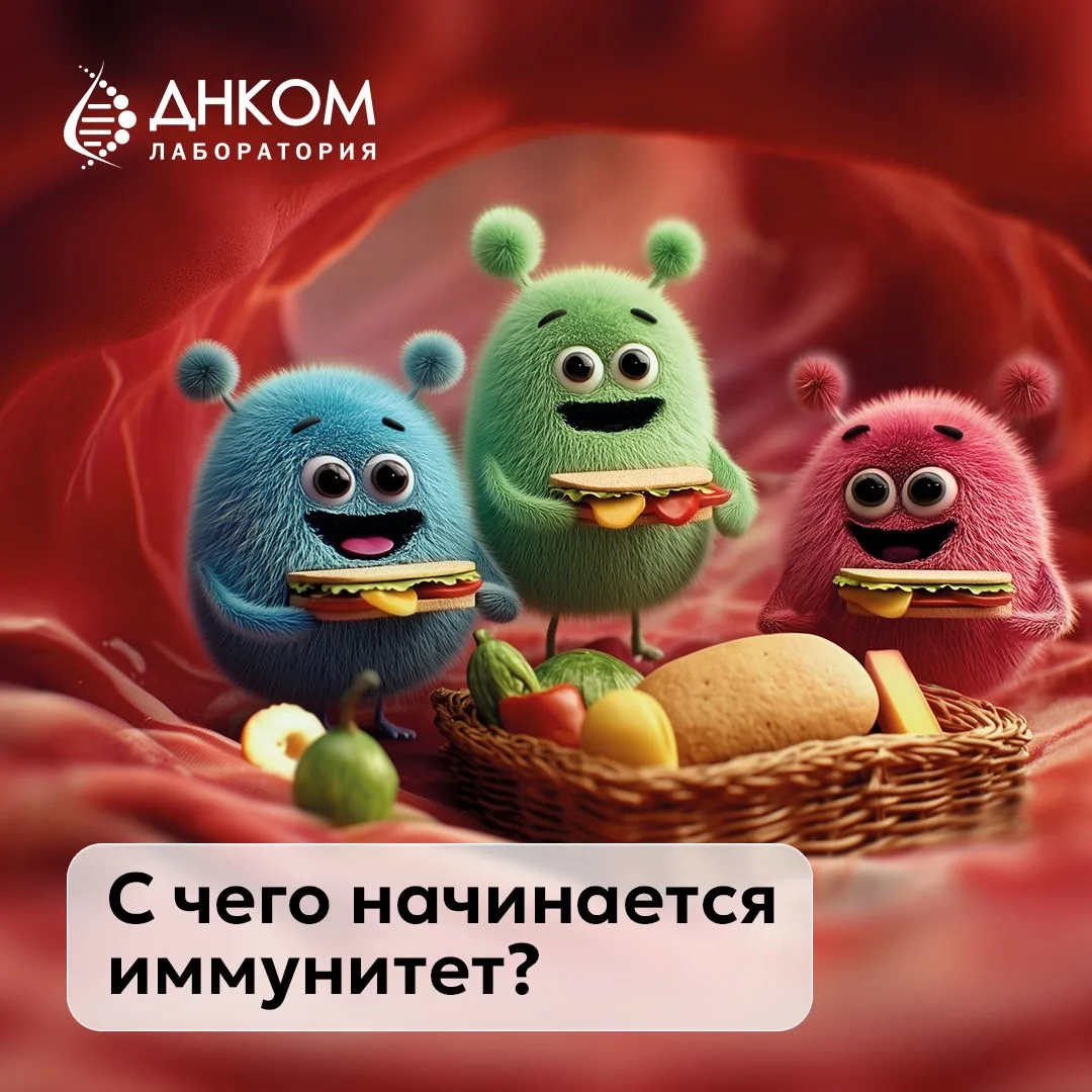 🛡 Иммунитет начинается с микробиоты кишечника

Знаете ли вы, что до 70–80% иммунных клеток находятс
