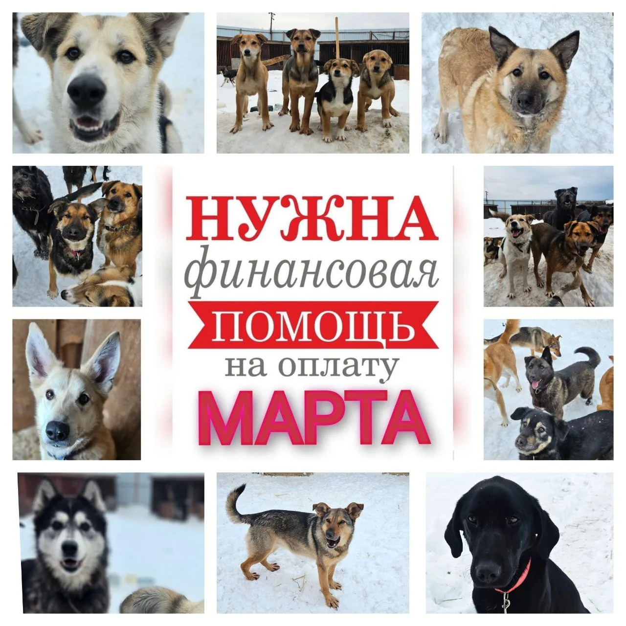 Для оплаты передержки за март нужно 94.610р.