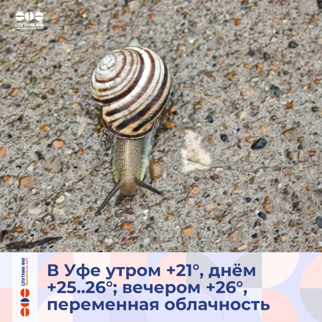 Сегодня День наблюдения за облаками, День бабочек и Всемирный день детского футбола

Фото: Ай Ка

📥