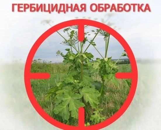 Администрация Бугровского городского поселения информирует: