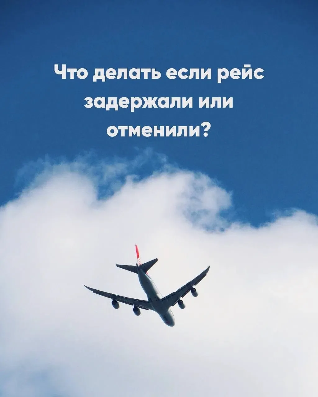 ‼Как действовать при задержке или отмене рейса, чтобы не потерять деньги и время.

⁉Как узнать о зад