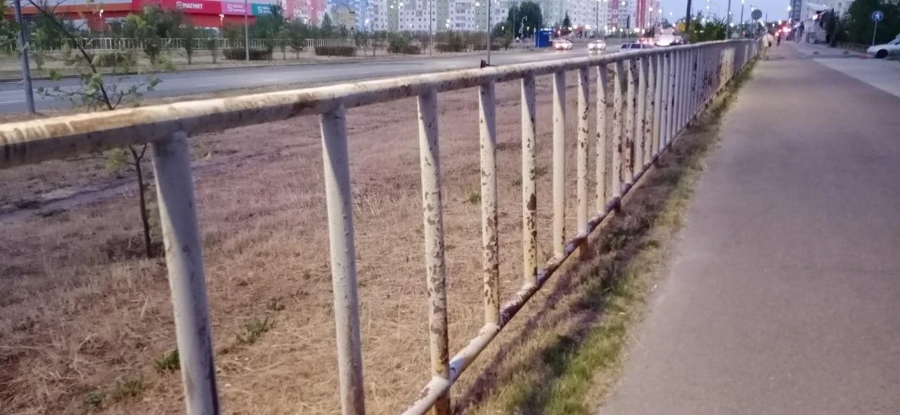 🌿 Автор поста — против заборов на газонах в Нижневартовске