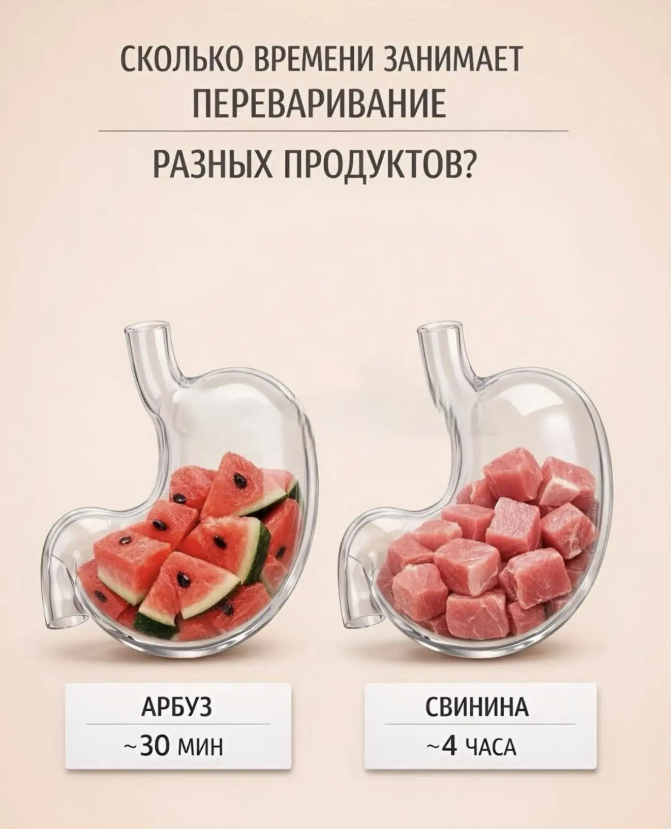 🍎 Наш организм каждый день нуждается в правильном питании. Некоторые продукты особенно богаты витам
