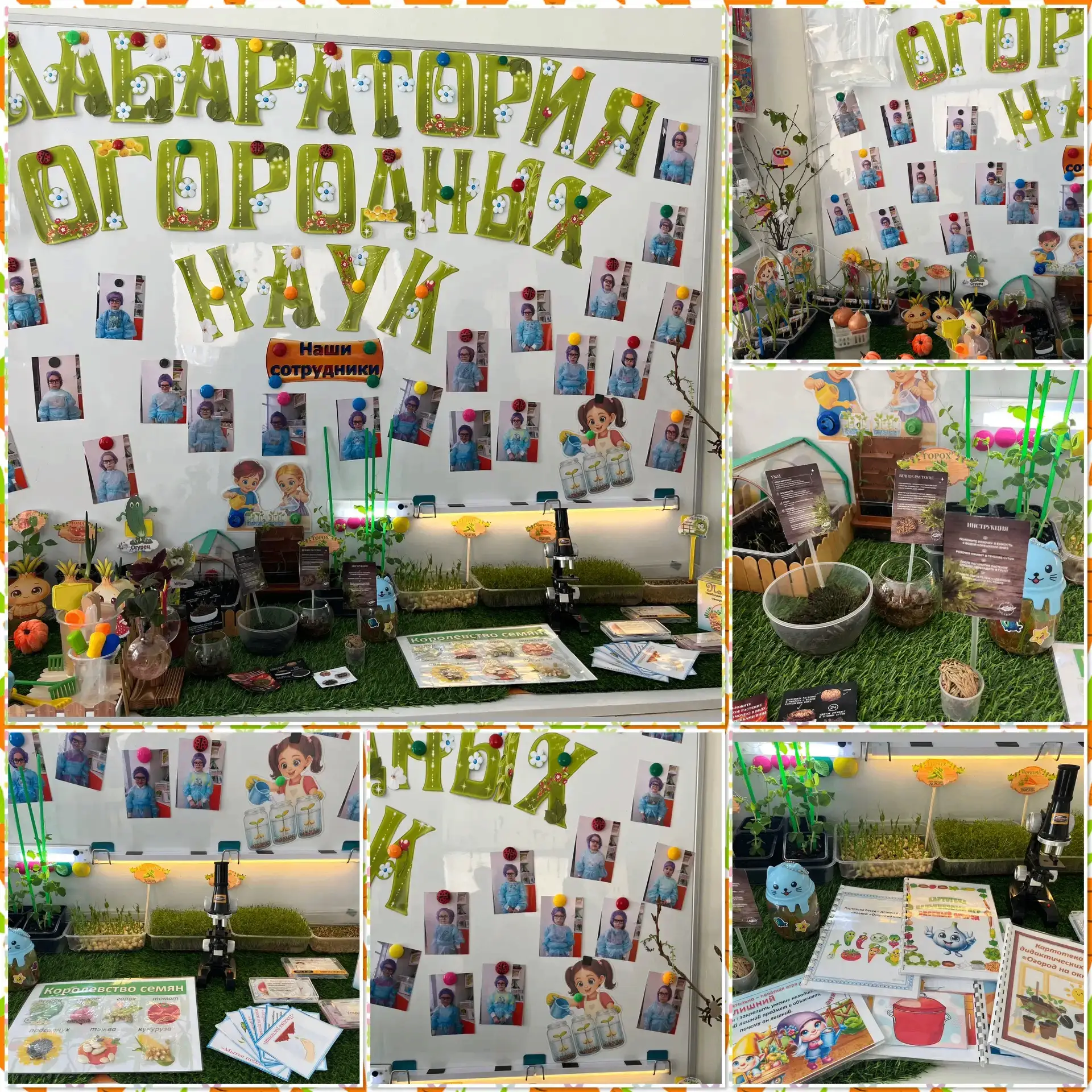 💬 В нашем детском саду прошел смотр-конкурс на лучший «Огород на окне».    Педагоги творчески подошл