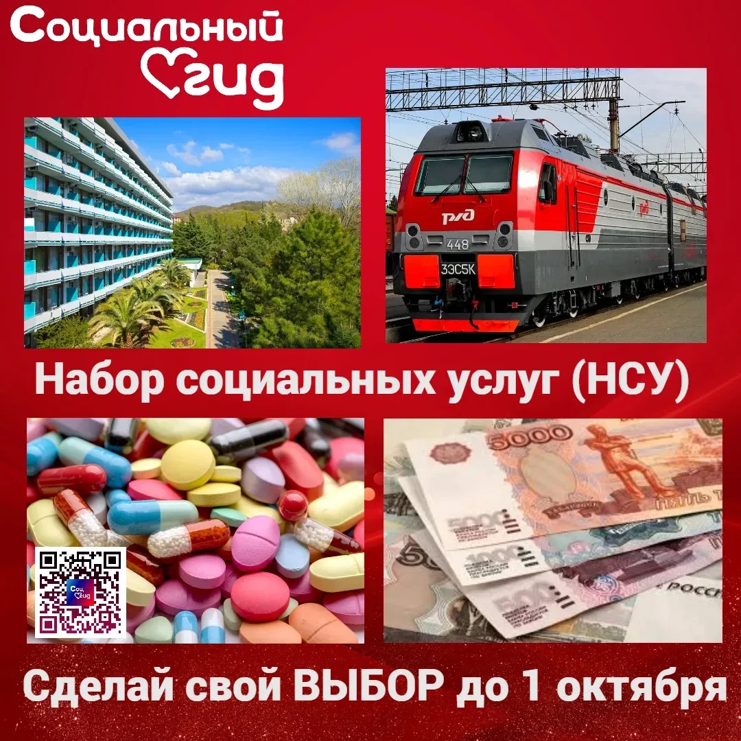 Набор социальных услуг (НСУ) предоставляется получателям ежемесячной денежной выплаты (...