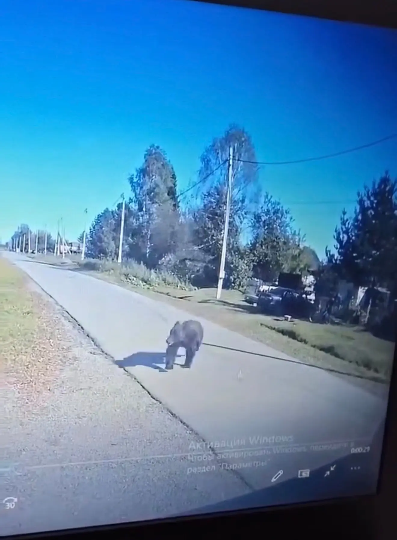 🐻 Медведь устроил забег по улицам Тальжино в Кузбассе