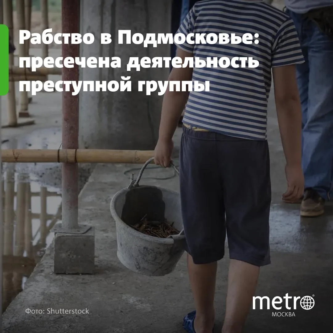 🔗 В Подмосковье пресечена деятельность группы мужчин, держащей в рабстве шестерых людей