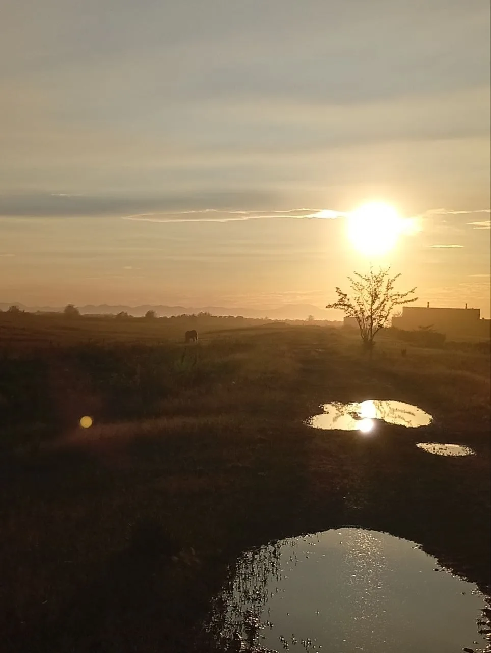 ⛅ Сегодня в Хабаровске с утра +17, днём до +22, облачно.