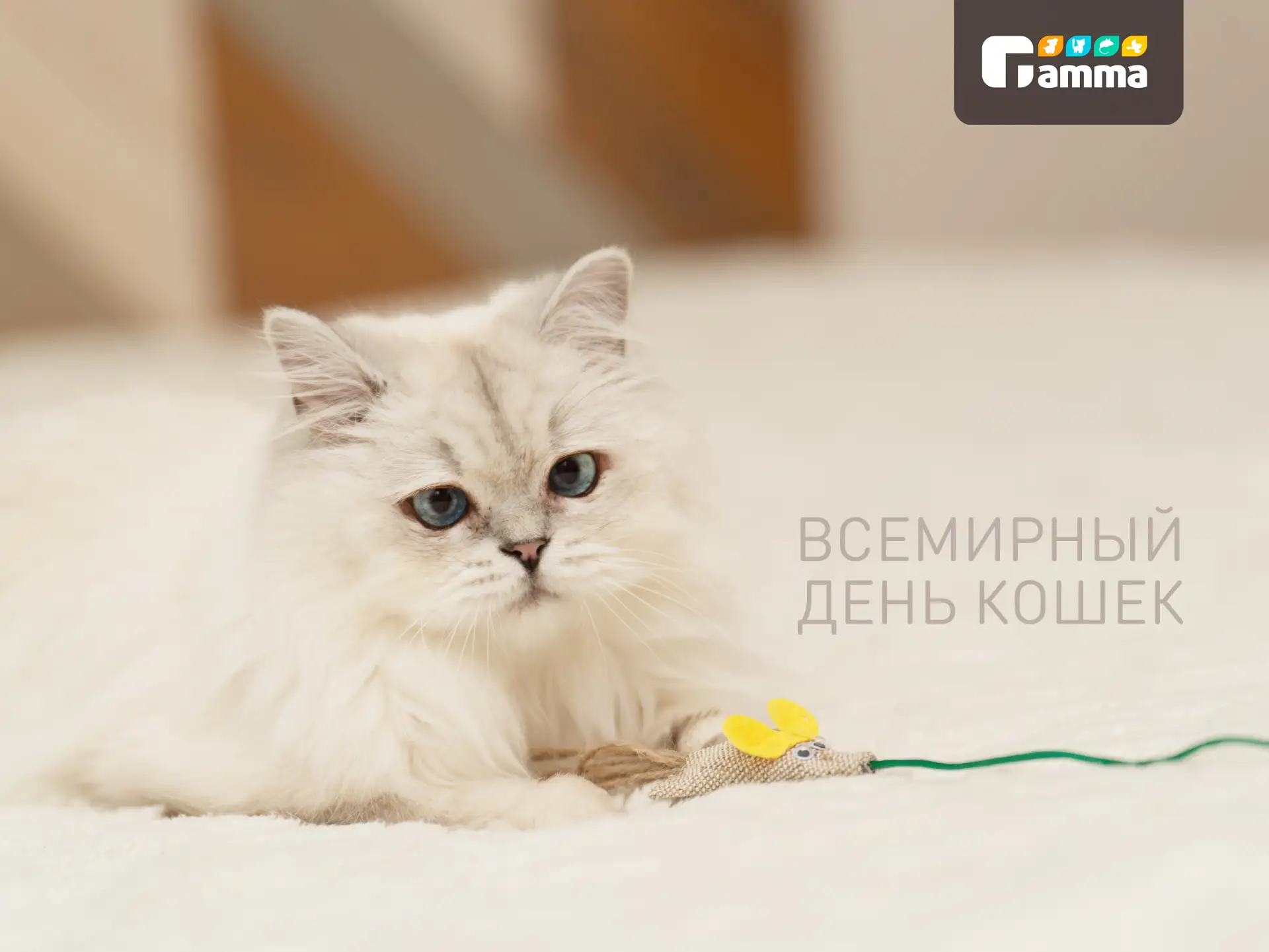 8 августа празднуют Всемирный день кошек! Желаем тепла, уюта и нежного мурлыканья вашем...