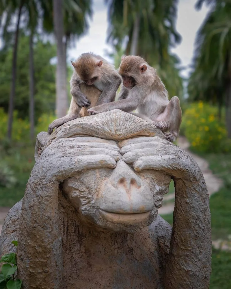 🇻🇳  Вьетнам в сентябре с прямым перелетом