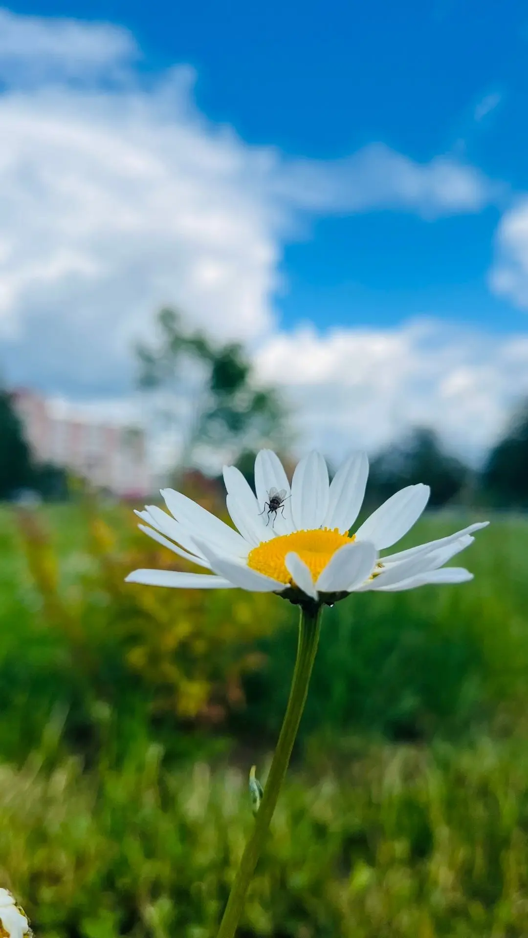 📷Юлия Павлова