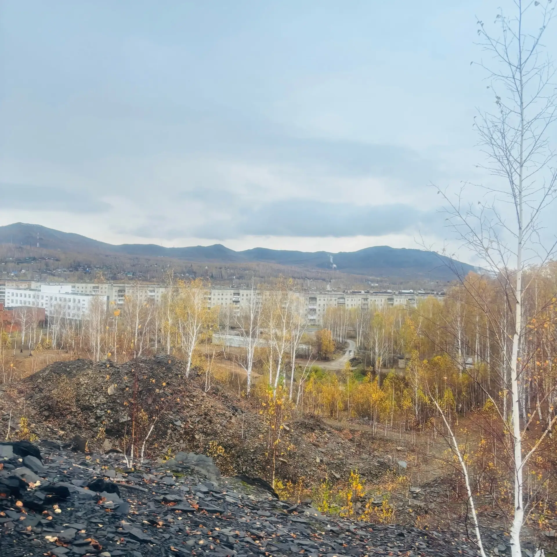 Осень , 3 октября 2026 г.