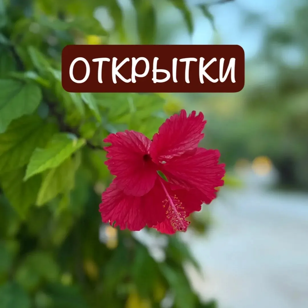 📝 ЦЕНА СНИЖЕНА