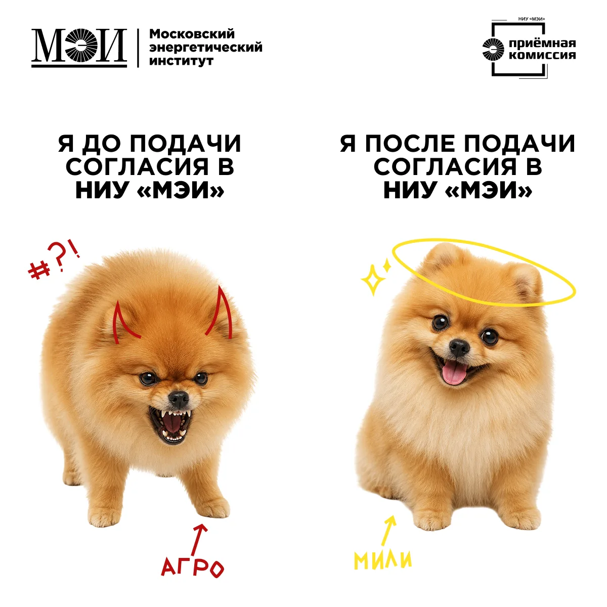 🐶 Согласие на зачисление — маленький шаг для абитуриента, огромный шаг к спокойствию.

Самое время 