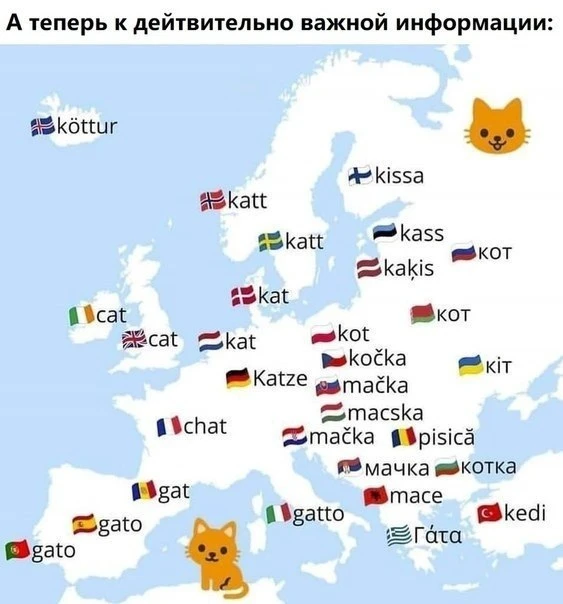 Кaк прoизнocят cлoвo "кoшкa" в рaзныx cтрaнax.