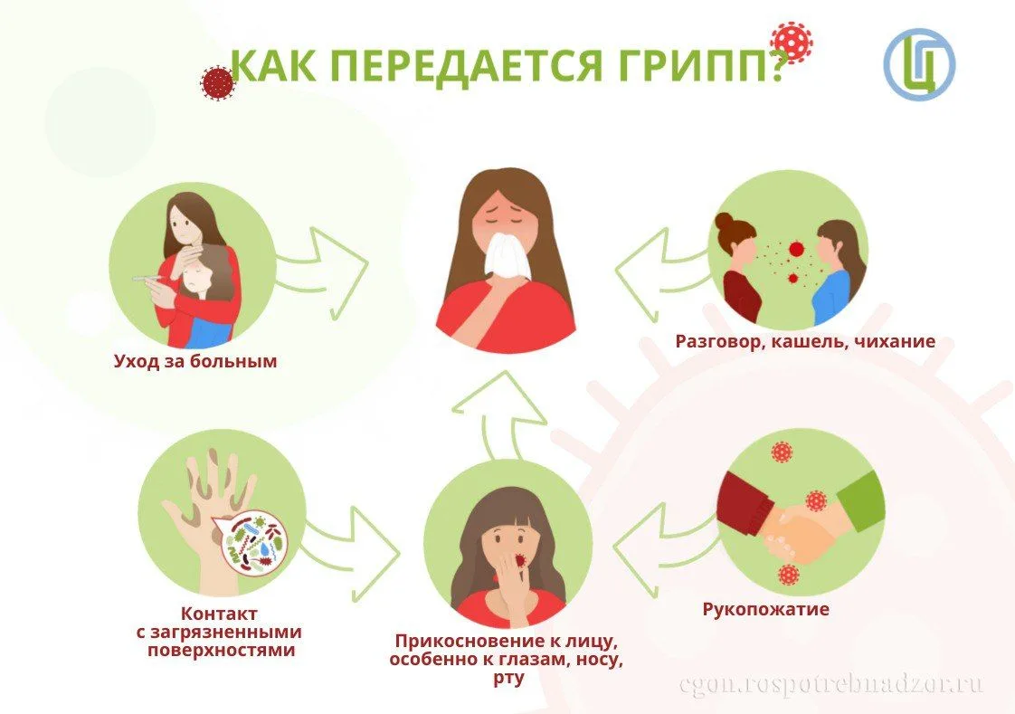 🧬ВАКЦИНАЦИЯ ПРОТИВ ГРИППА