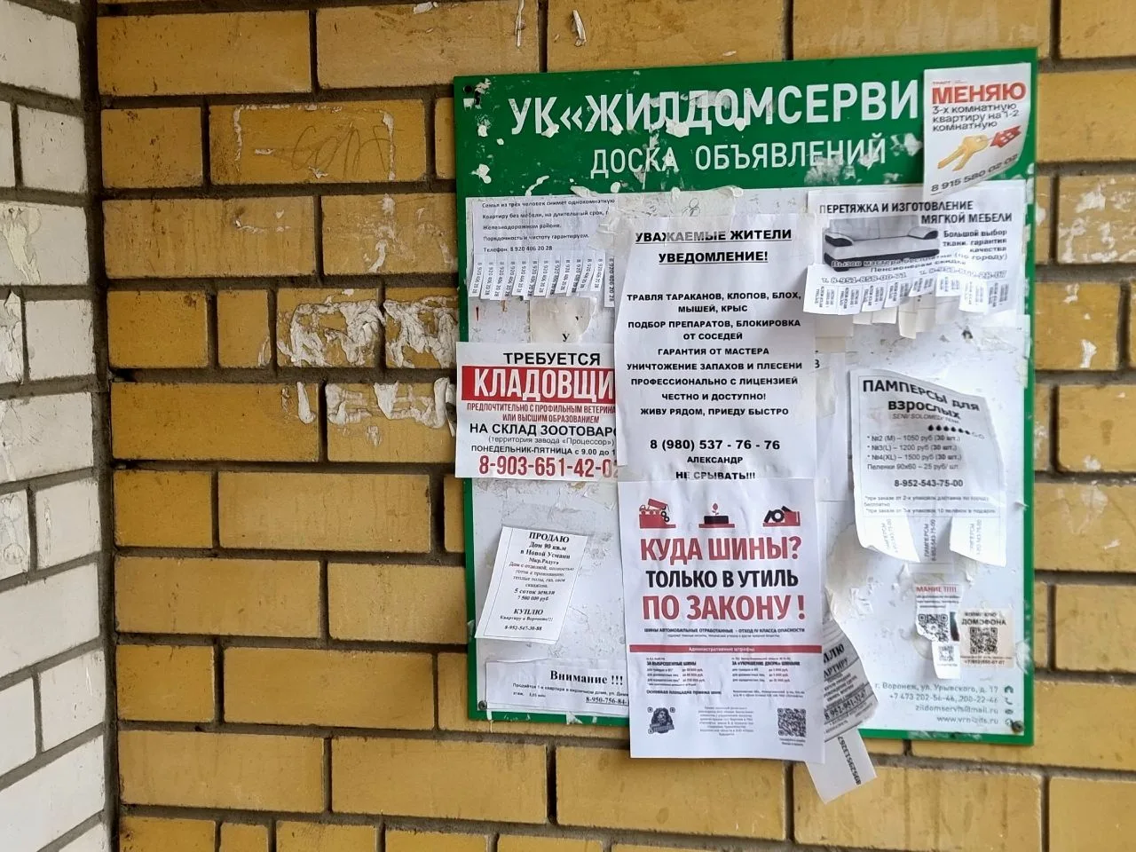 🚫 Теперь жители улицы Урывского знают: куда девать старые шины — и чем грозит их незаконный выброс 