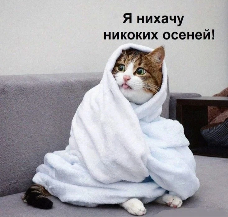 Надоела эта осень... Скорее бы лето...