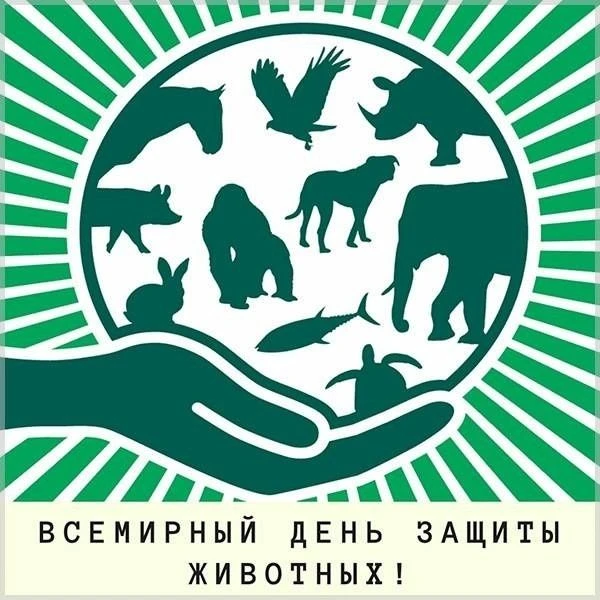 🐾 Всемирный день защиты животных: история и значение праздника 🌍
