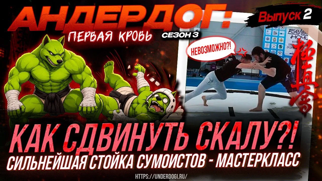 САМАЯ СИЛЬНАЯ СТОЙКА — У СУМОИСТОВ? Мастер-класс чемпионов | «Андердог», сезон 3, серия 2