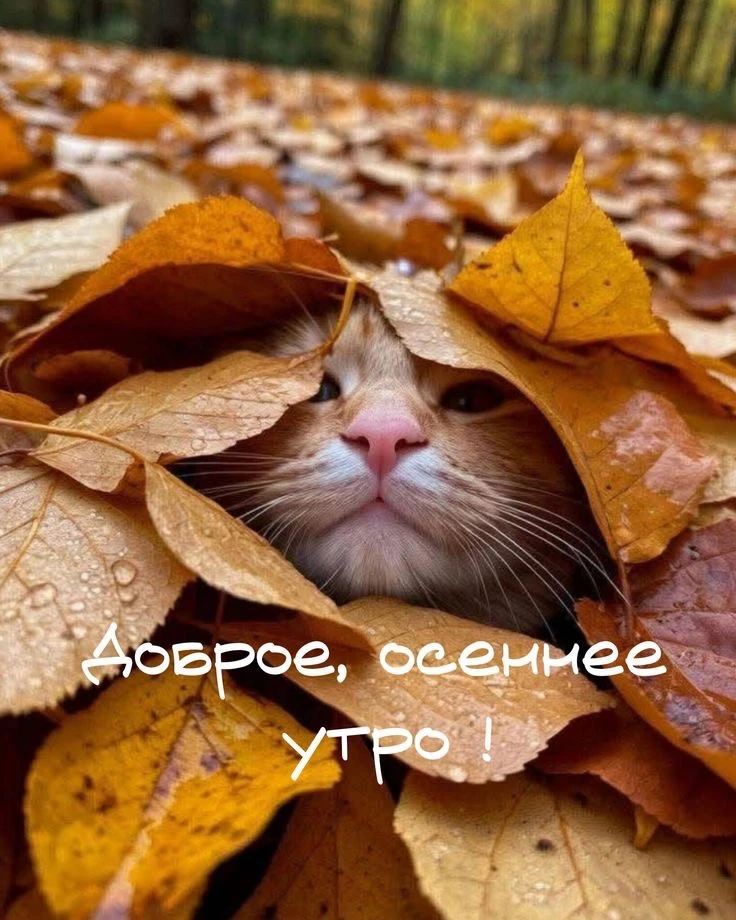 Отличного дня и прекрасного настроения 🤗