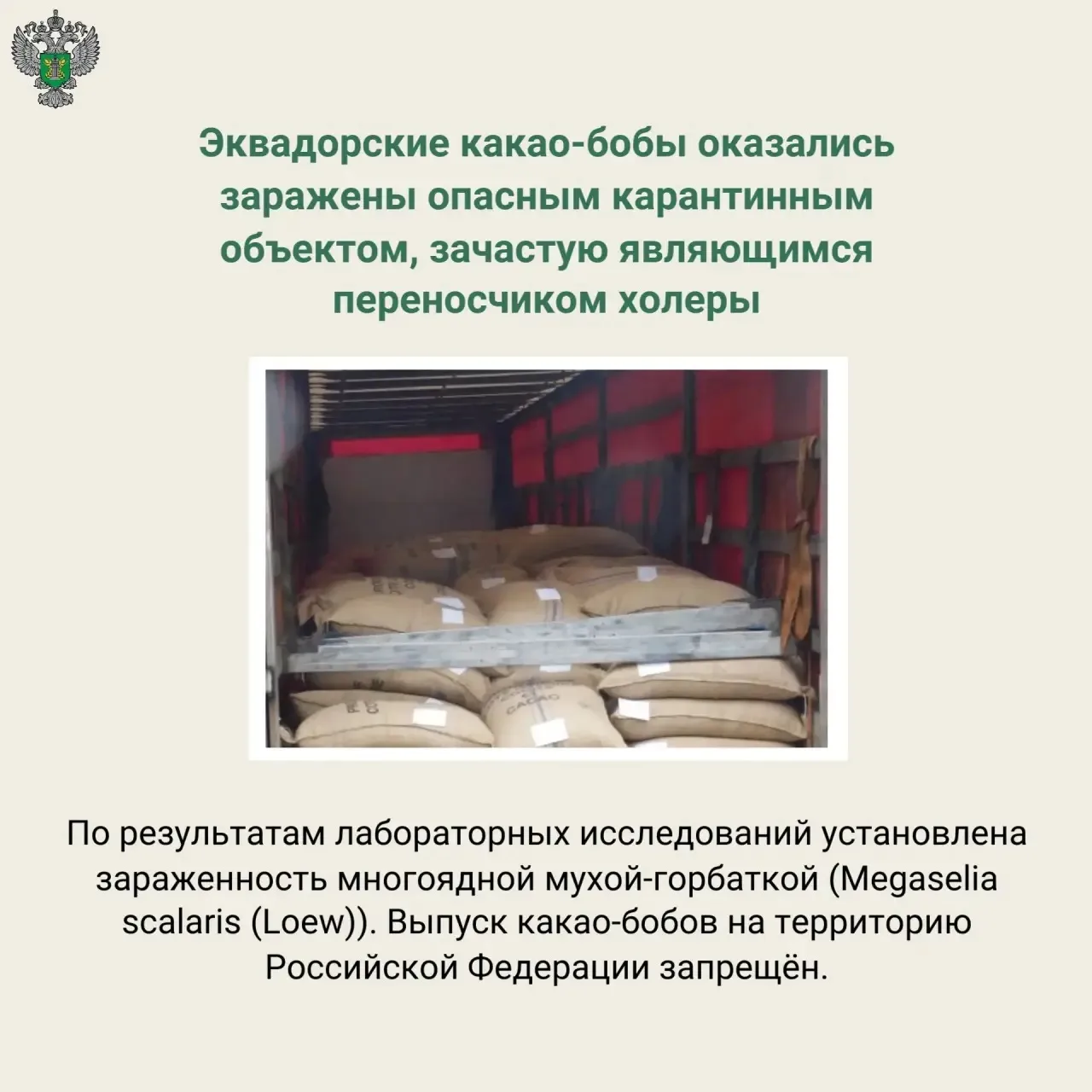 🔗 Подробнее на сайте