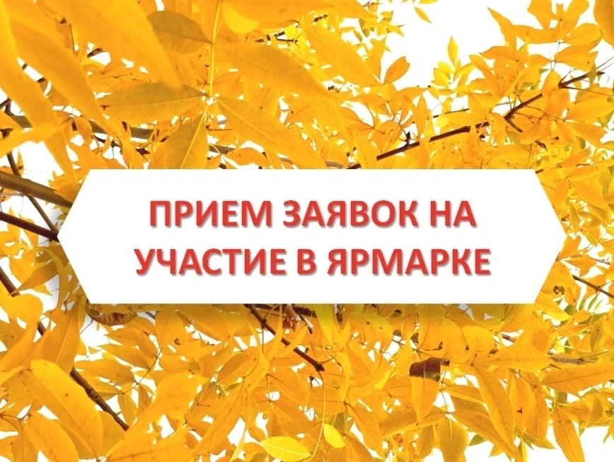 🍁🥔🍅🥒 Открываем прием заявок от сельхоз товаропроизводителей округа на участие в тра...