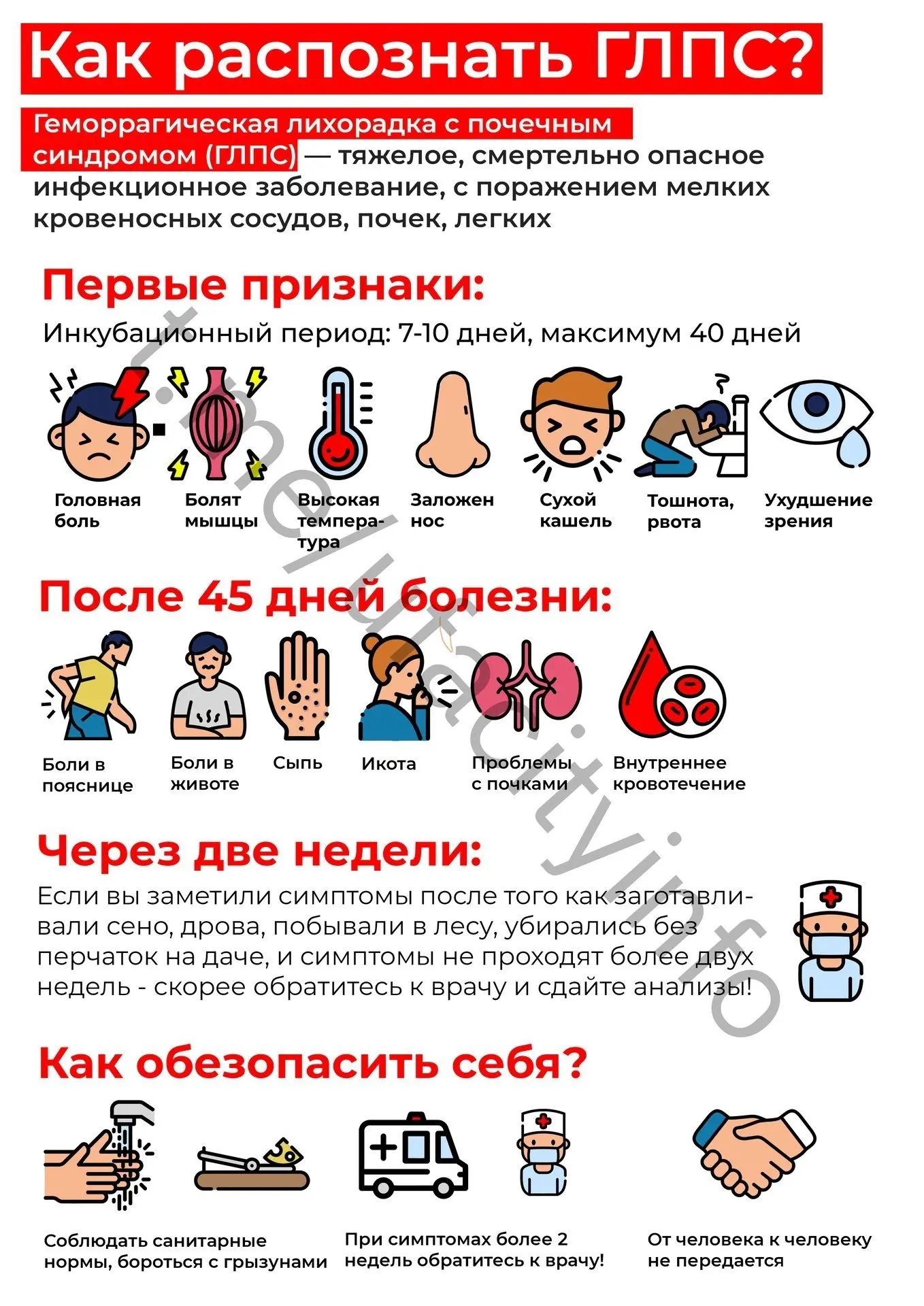 Весна - время осторожности: берегитесь геморрагической лихорадки

С наступлением весны горожане выхо