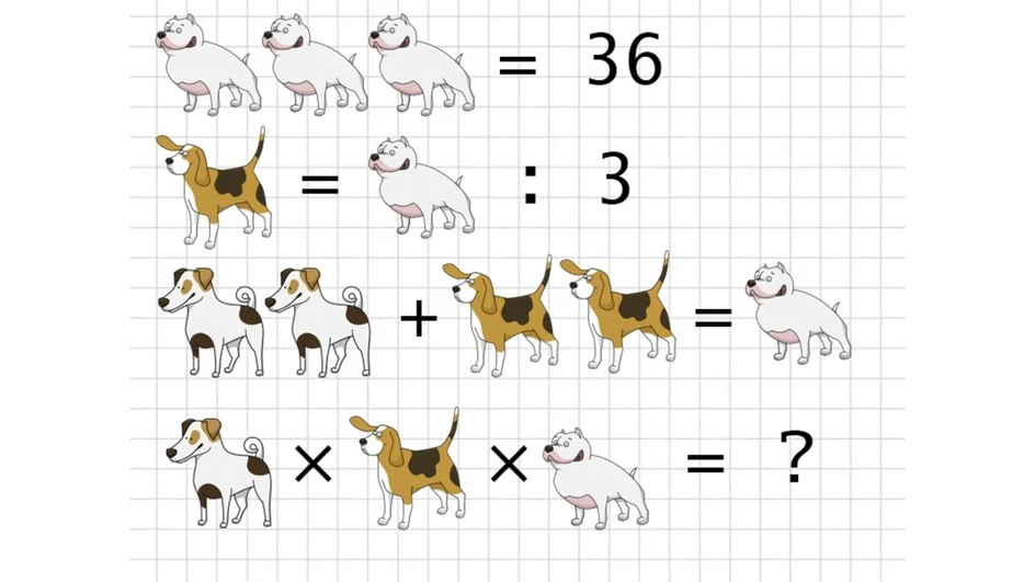 🐕 Сегодня на математическую прогулку вышли собаки трёх пород