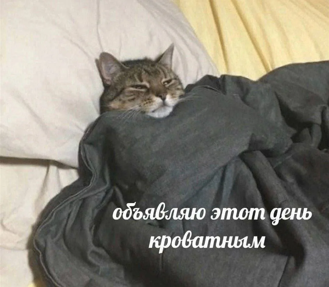 Проведите этот день так, как хочется именно вам!