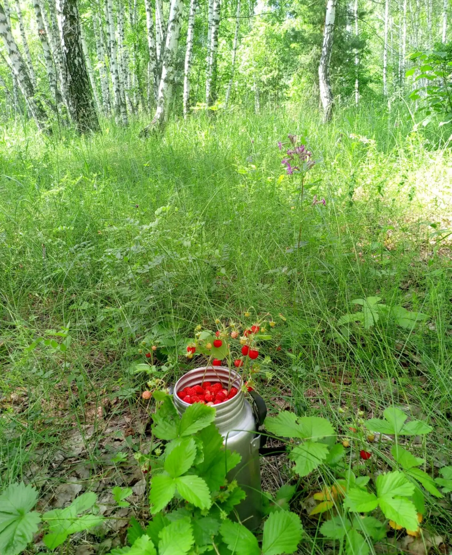 Самого доброго и прекрасного утра!