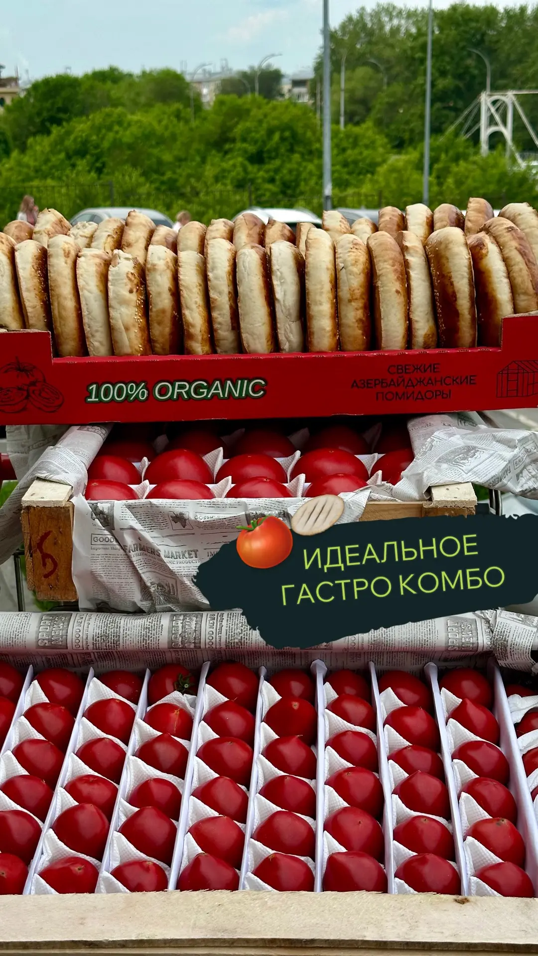 Голодным отойти от экранов! Малиновые сладчайшие томаты с тандырной лепешкой🍅